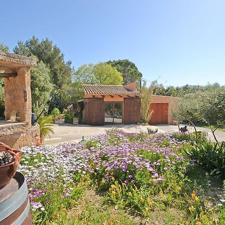 Villa Torreon Alcúdia Exteriér fotografie
